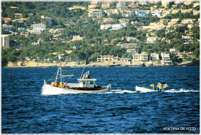Foto: BAHIA DE PALMA DE MALLORCA - Palma De Mallorca (Illes Balears), España