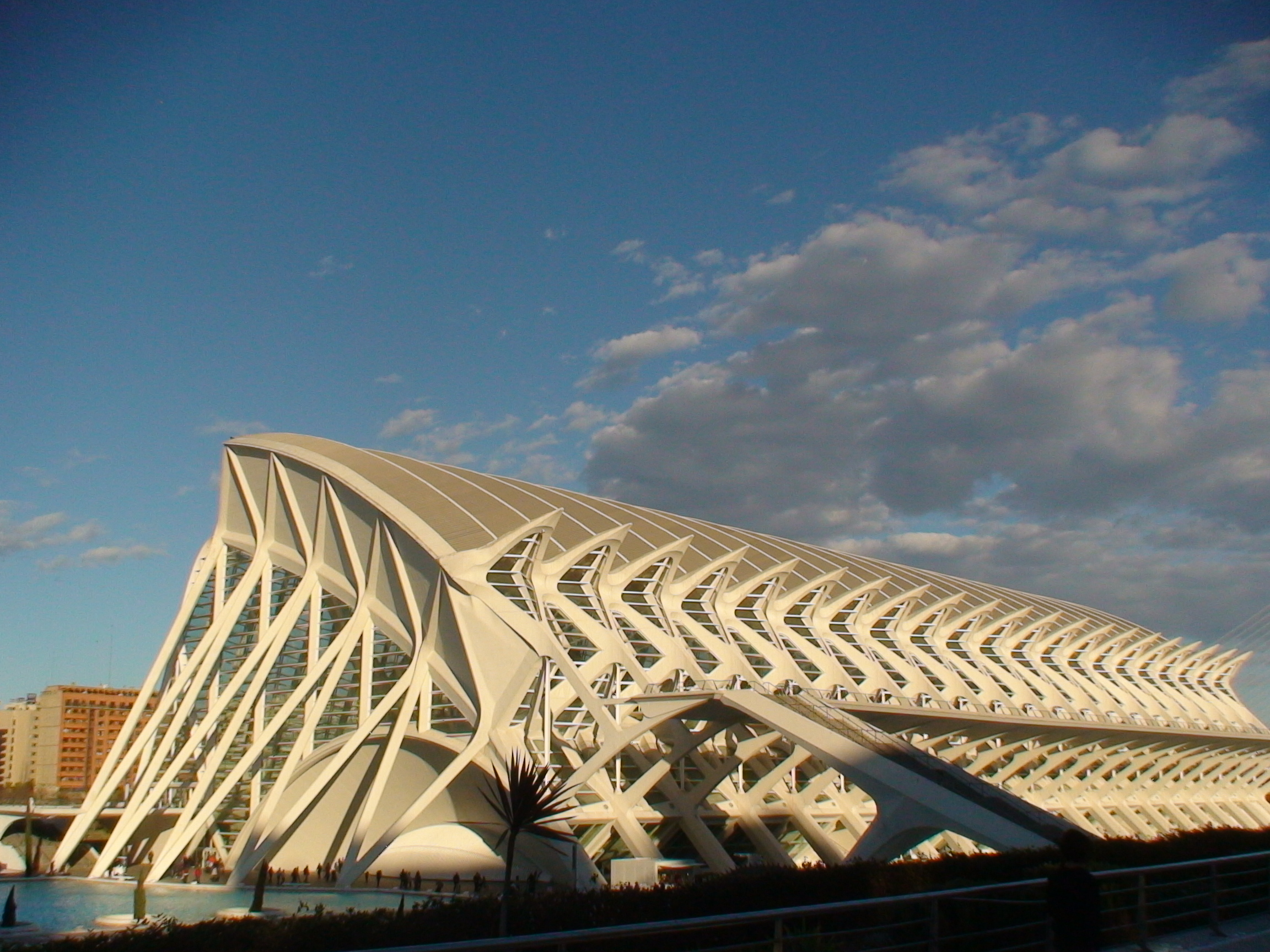Foto: Museo de las Artes y las Ciencias - Valencia (València), España