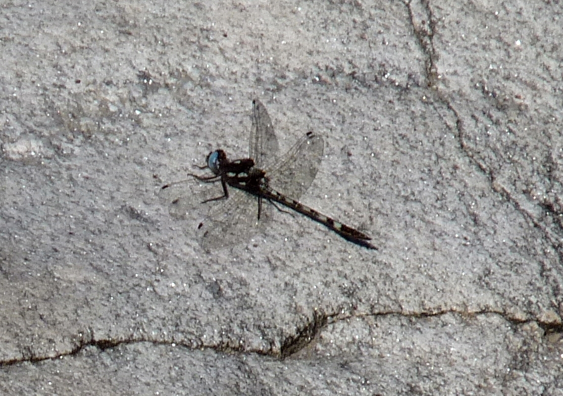 Foto: Río Panaholma - Cura Brochero (Córdoba), Argentina
