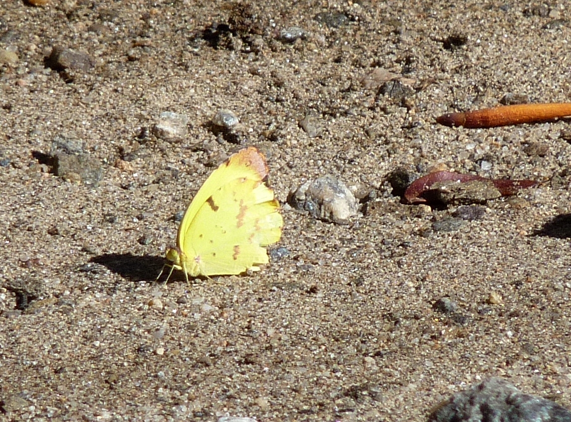 Foto: Los Túneles - Taninga (Córdoba), Argentina