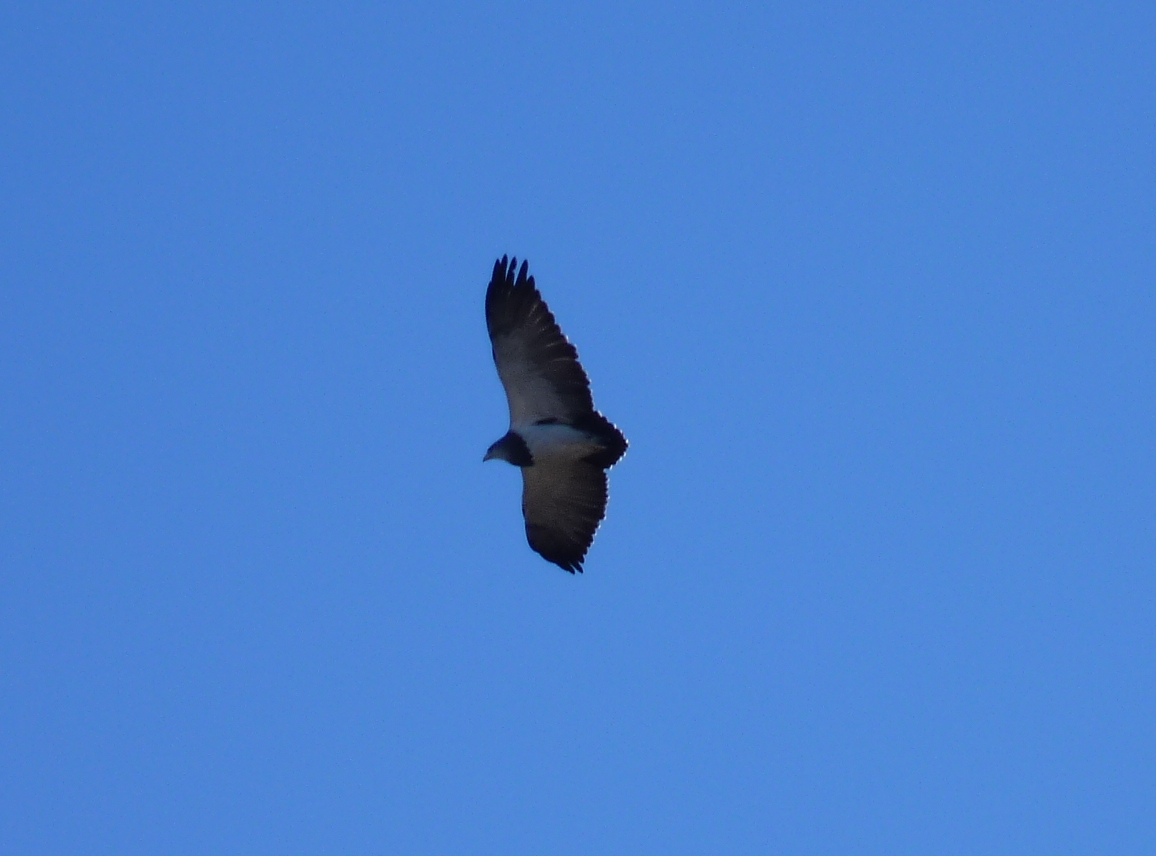 Foto: Los Túneles - Taninga (Córdoba), Argentina