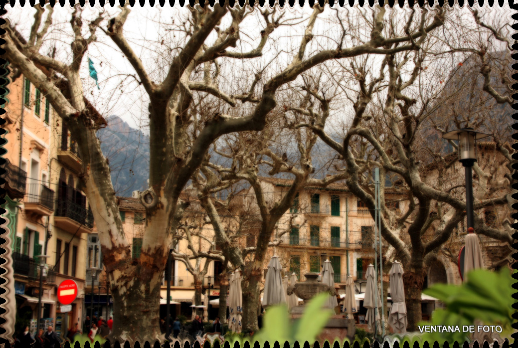 Foto: CASCO URBANO - Sóller (Illes Balears), España