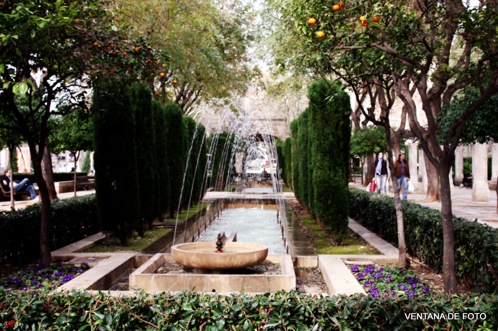 Foto: Jardines de s'Hort del Rei - Palma De Mallorca (Illes Balears), España