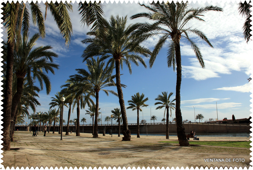 Foto: PARQUE DEL MAR - Palma De Mallorca (Illes Balears), España