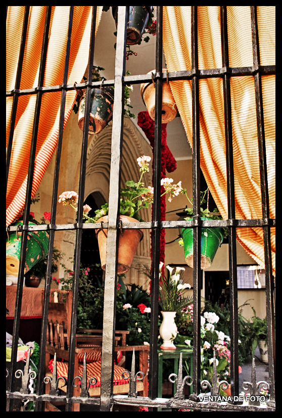 Foto: Cruz De Mayo - Córdoba (Andalucía), España