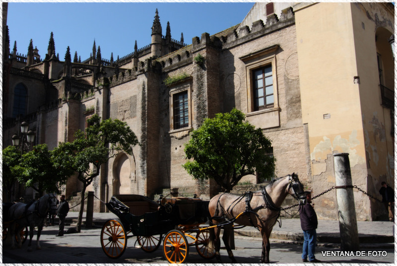 Foto: CATEDRAL - Sevilla (Andalucía), España