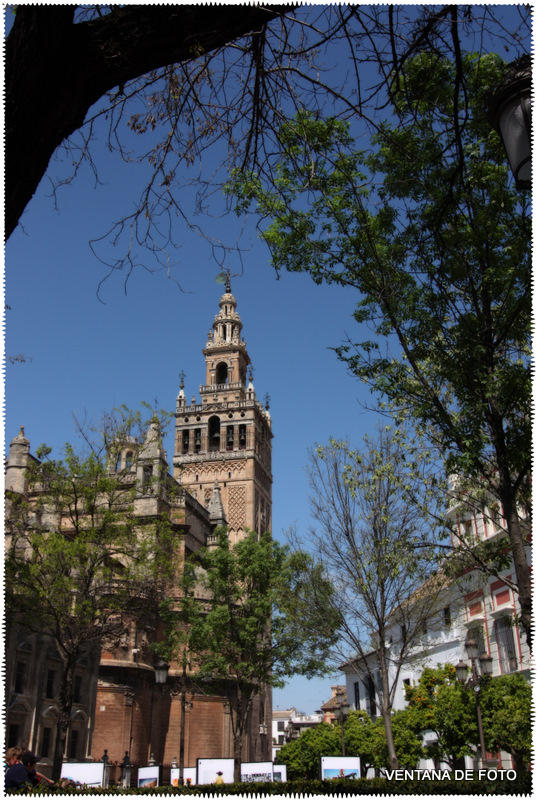 Foto: CATEDRAL - Sevilla (Andalucía), España