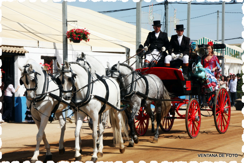 Foto: FERIA - Córdoba (Andalucía), España