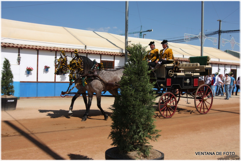 Foto: FERIA - Córdoba (Andalucía), España