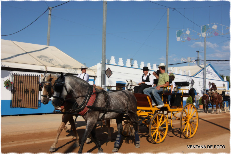 Foto: FERIA - Córdoba (Andalucía), España