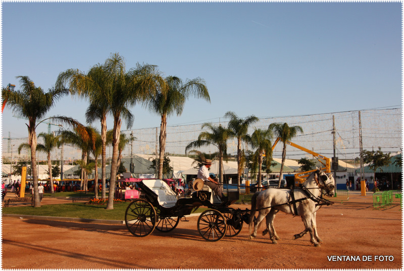 Foto: FERIA - Córdoba (Andalucía), España