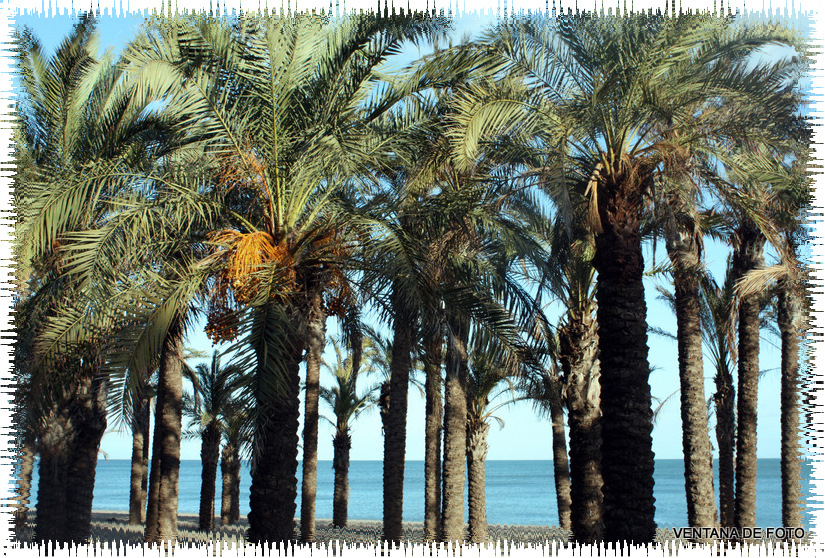 Foto: TORREMOLINOS - Torremolinos (Málaga), España