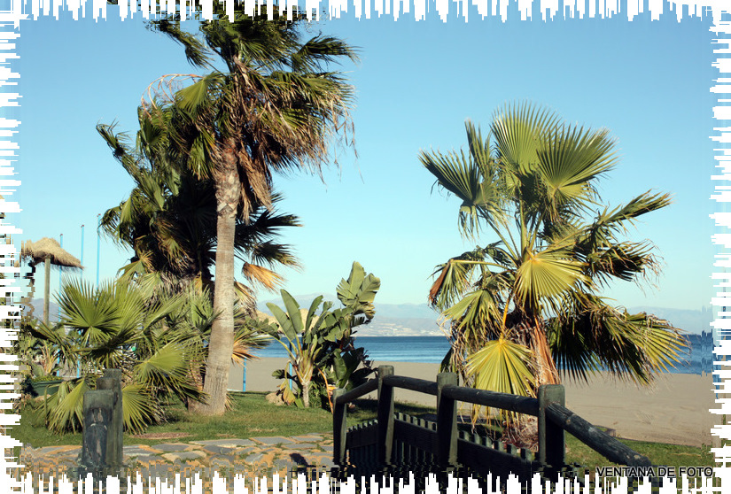 Foto: TORREMOLINOS - Torremolino (Málaga), España