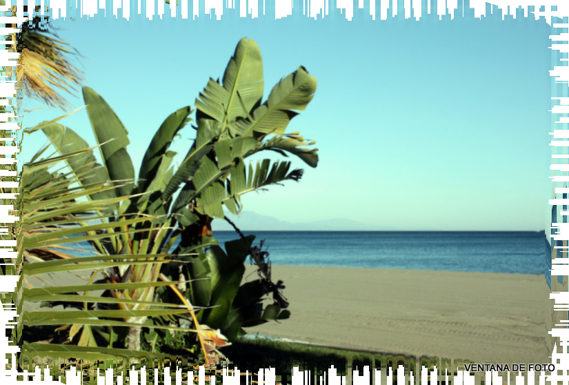 Foto: TORREMOLINOS - Torremolinos (Málaga), España