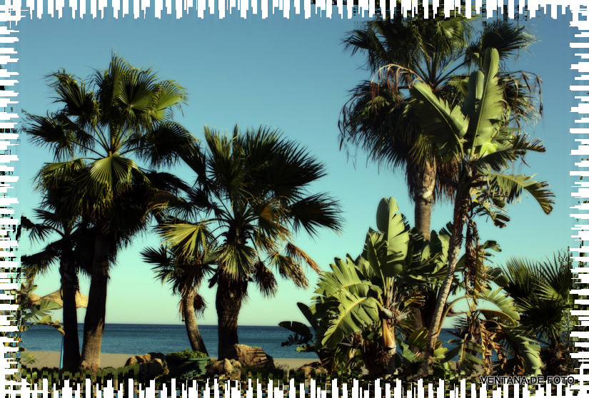 Foto: TORREMOLINOS - Torremolinos (Málaga), España