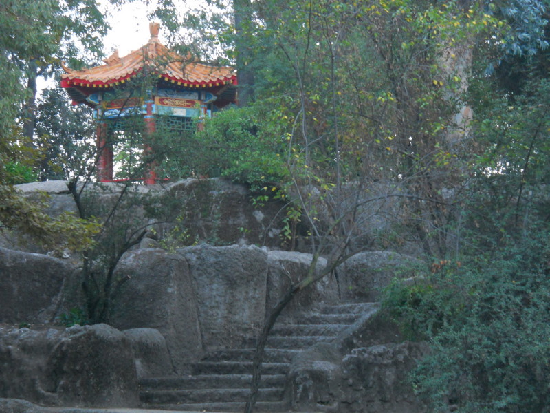 Foto: Parque Ohiggins - Santiago (Región Metropolitana), Chile