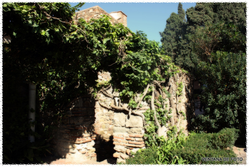 Foto: Alcazaba - Málaga (Andalucía), España