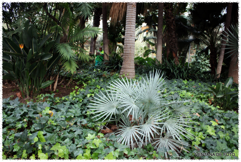 Foto: Jardines Paseo Del Parque - Málaga (Andalucía), España