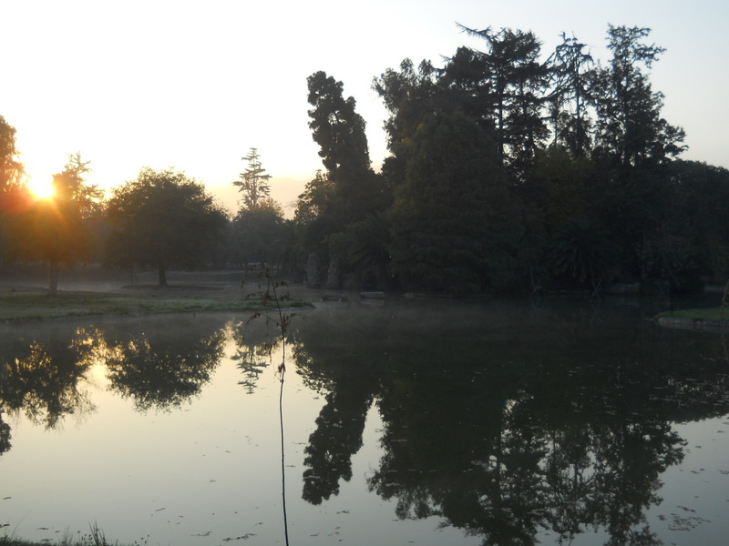 Foto: Parque Ohiggins - Santiago (Región Metropolitana), Chile