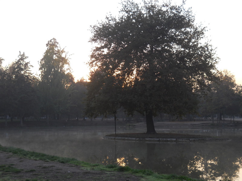 Foto: Parque Ohiggins - Santiago (Región Metropolitana), Chile