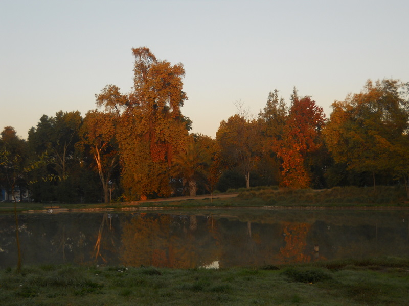Foto: Parque Ohiggins - Santiago (Región Metropolitana), Chile