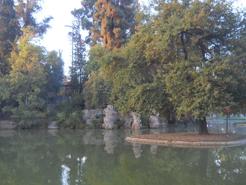 Foto: Parque Ohiggins - Santiago (Región Metropolitana), Chile