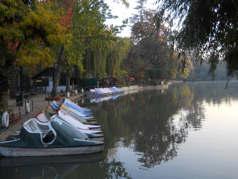 Foto: Parque Ohiggins - Santiago (Región Metropolitana), Chile