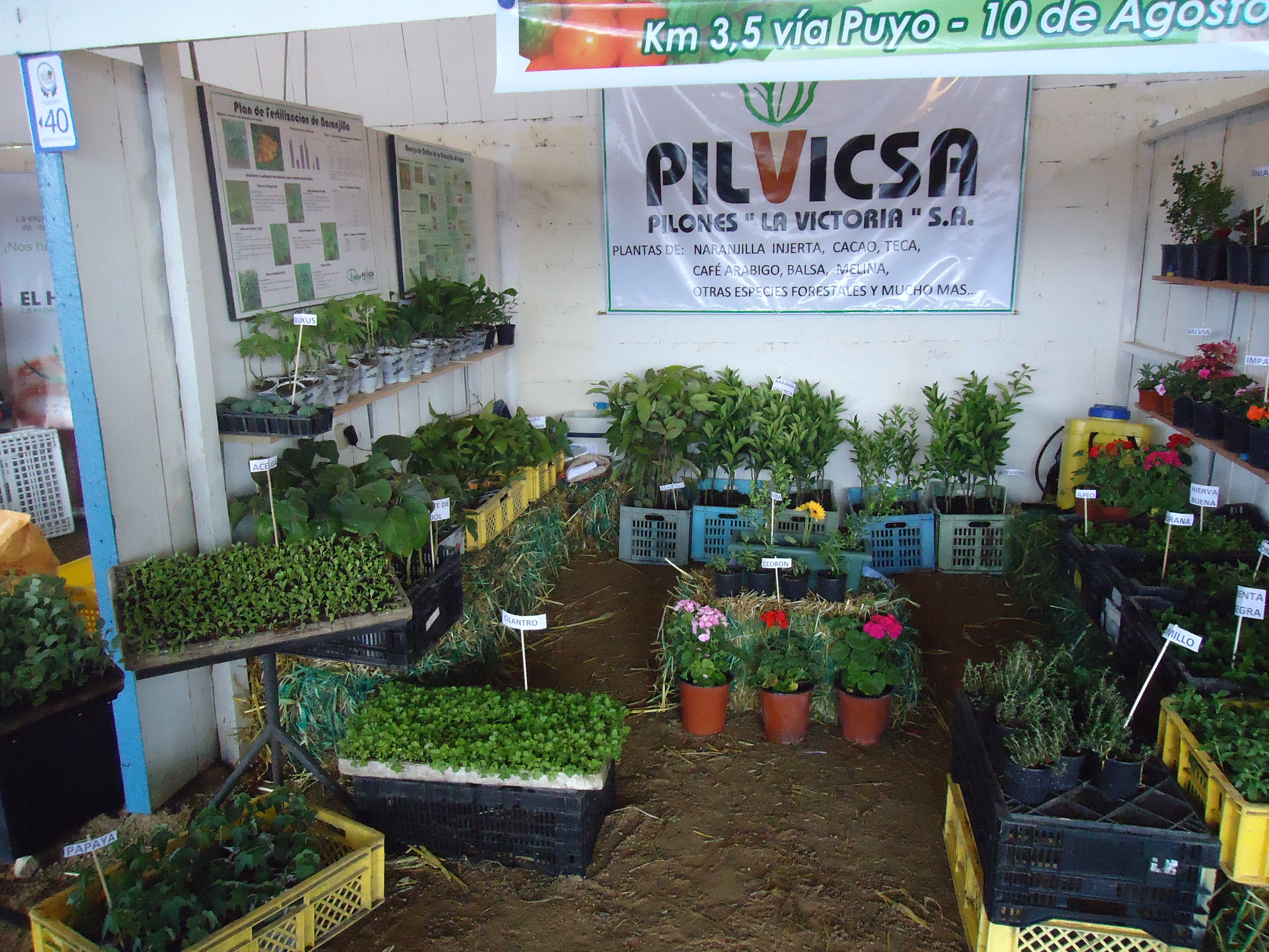 Foto: Pilvicsa - Puyo (Pastaza), Ecuador