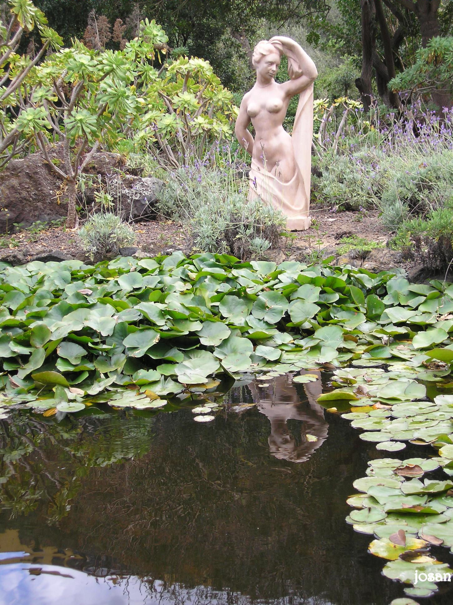 Foto: Jardin Canario - Las Palmas De Gran Canarias (Las Palmas), España