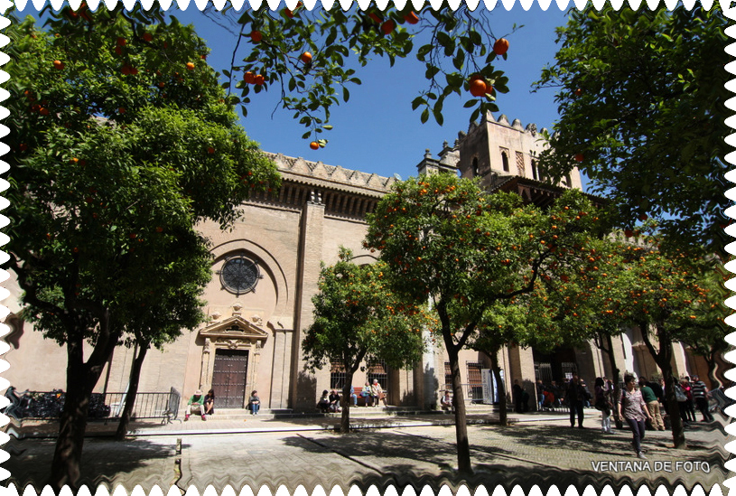 Foto: CATEDRAL (PATIO) - Sevilla (Andalucía), España
