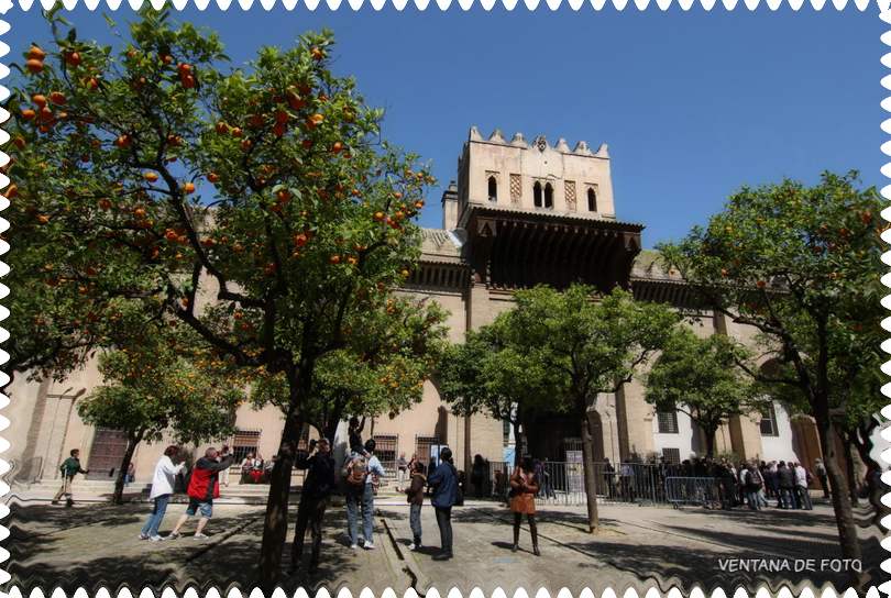Foto: CATEDRAL (PATIO) - Sevilla (Andalucía), España