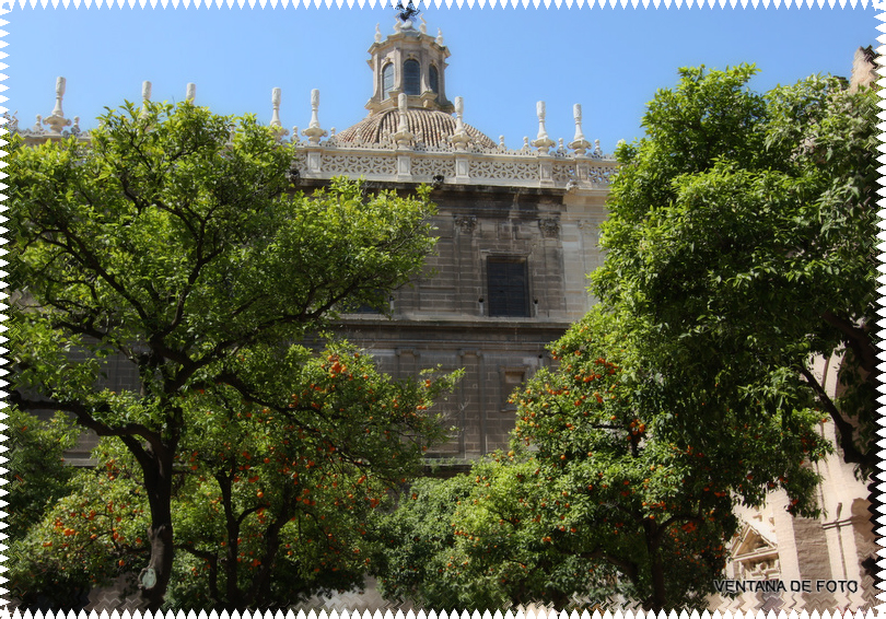 Foto: CATEDRAL (PATIO) - Sevilla (Andalucía), España