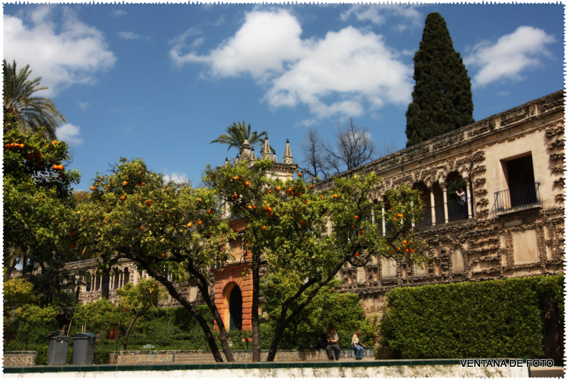 Foto: REALES ALCÁZARES - Sevilla (Andalucía), España