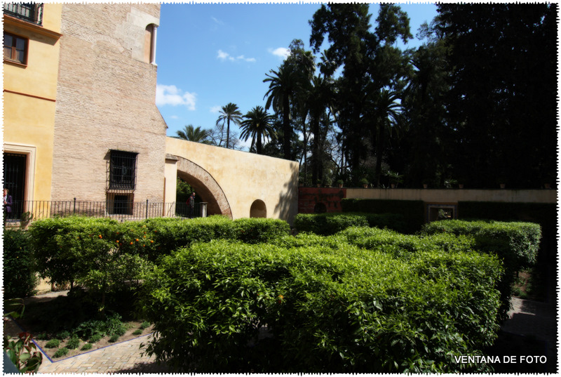 Foto: REALES ALCÁZARES - Sevilla (Andalucía), España