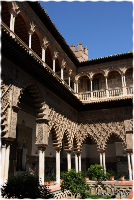 Foto: REALES ALCÁZARES - Sevilla (Andalucía), España
