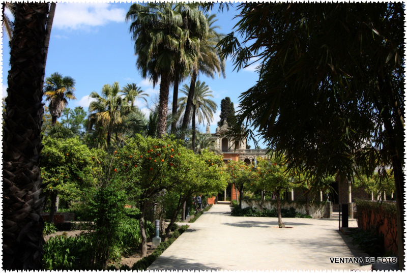 Foto: REALES ALCÁZARES - Sevilla (Andalucía), España