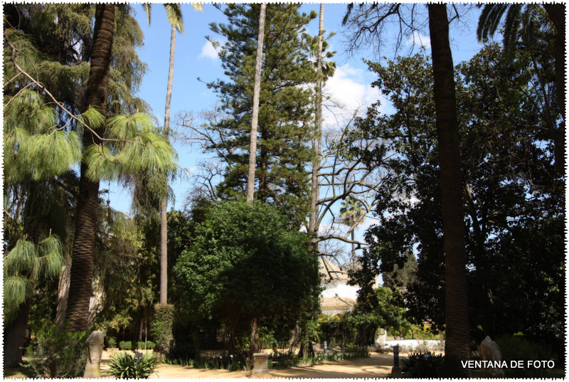 Foto: REALES ALCÁZARES - Sevilla (Andalucía), España