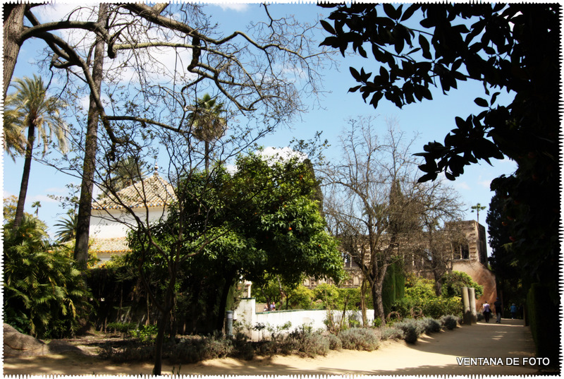 Foto: REALES ALCÁZARES - Sevilla (Andalucía), España