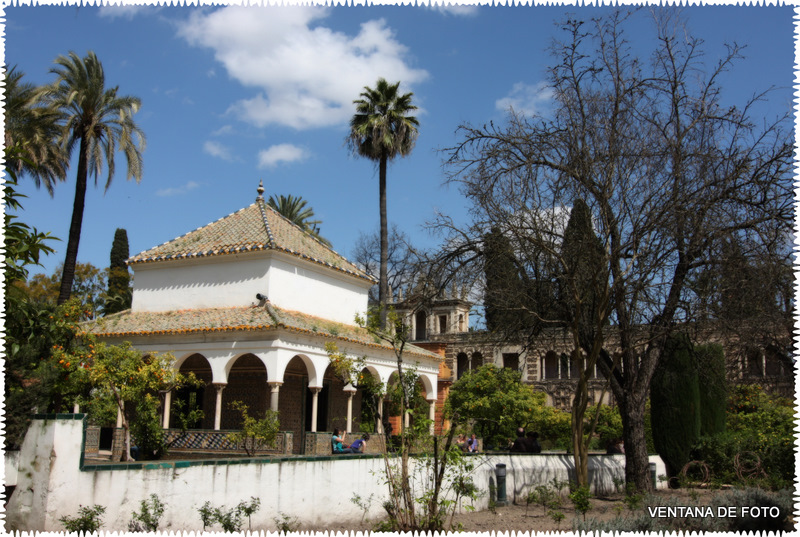 Foto: REALES ALCÁZARES - Sevilla (Andalucía), España