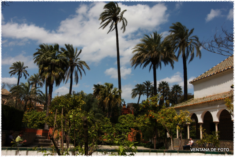 Foto: REALES ALCÁZARES - Sevilla (Andalucía), España