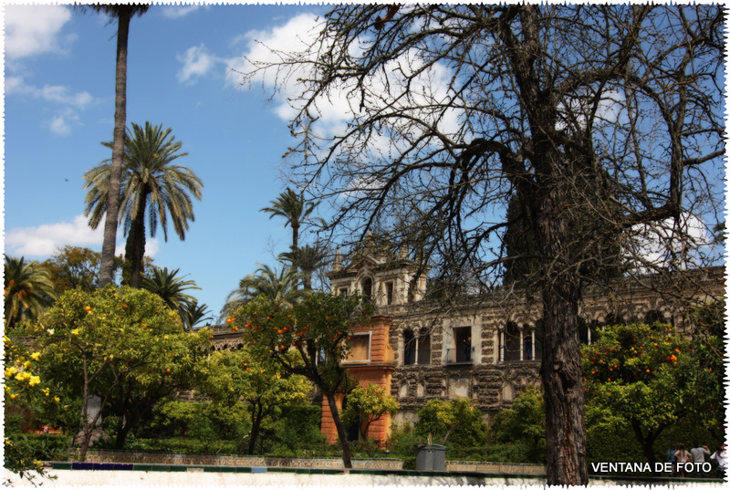 Foto: REALES ALCÁZARES - Sevilla (Andalucía), España