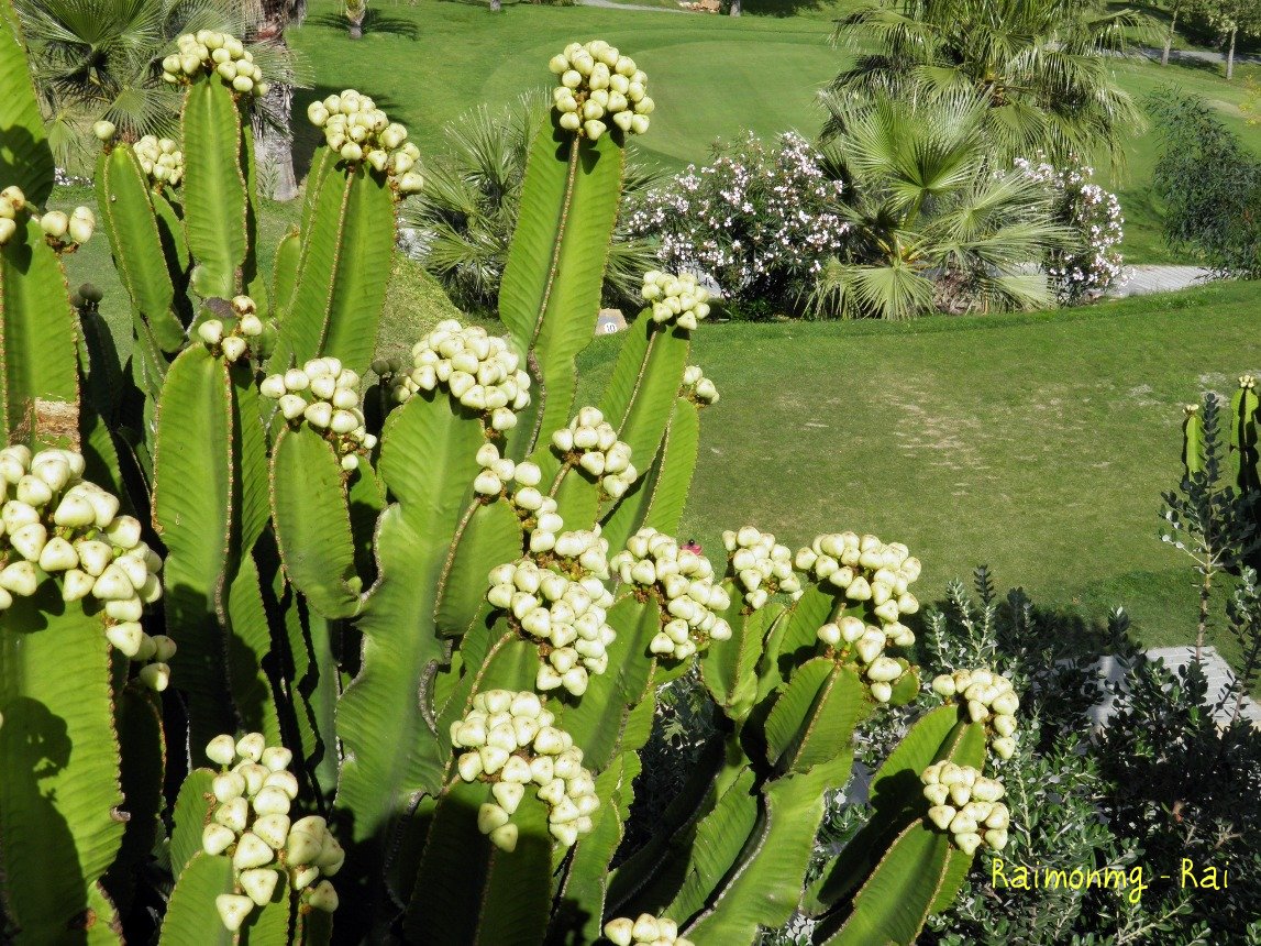 Foto: La Envía - Almería (Andalucía), España