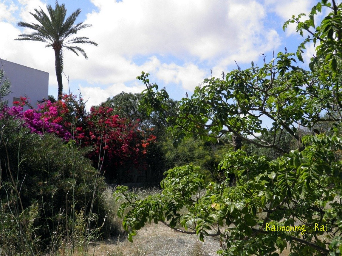 Foto: Rodalquilar - Almería (Andalucía), España