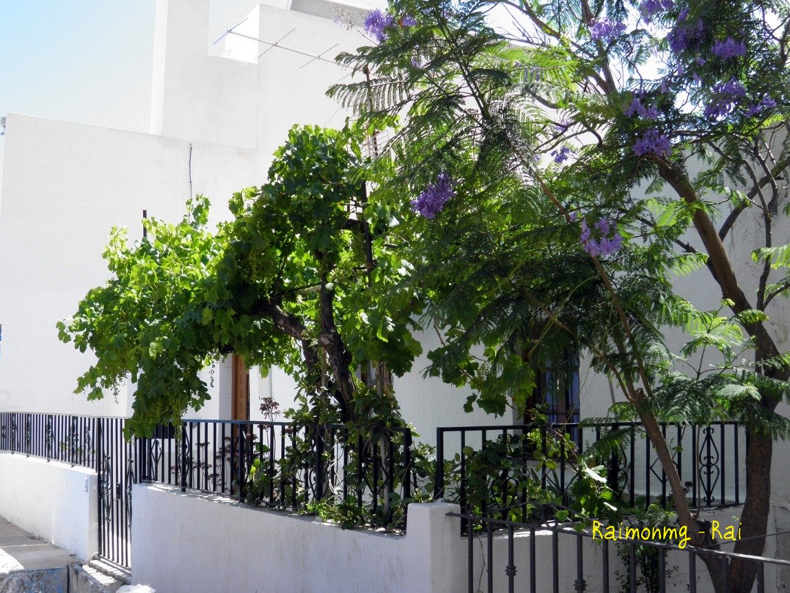 Foto: Rodalquilar - Almería (Andalucía), España