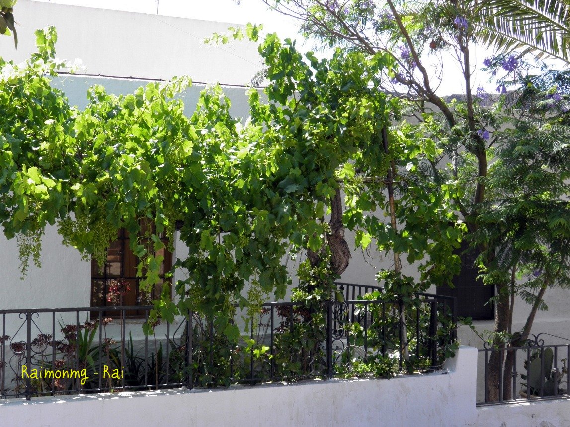 Foto: Rodalquilar - Almería (Andalucía), España