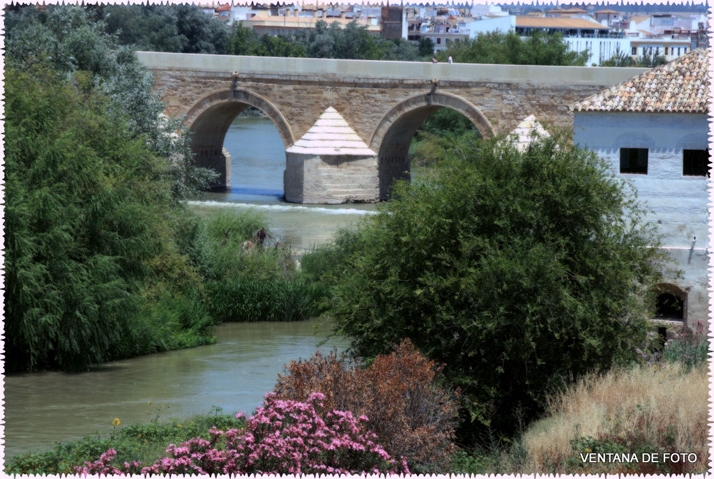 Foto: RÍO GUADALQUIVIR - Córdoba (Andalucía), España