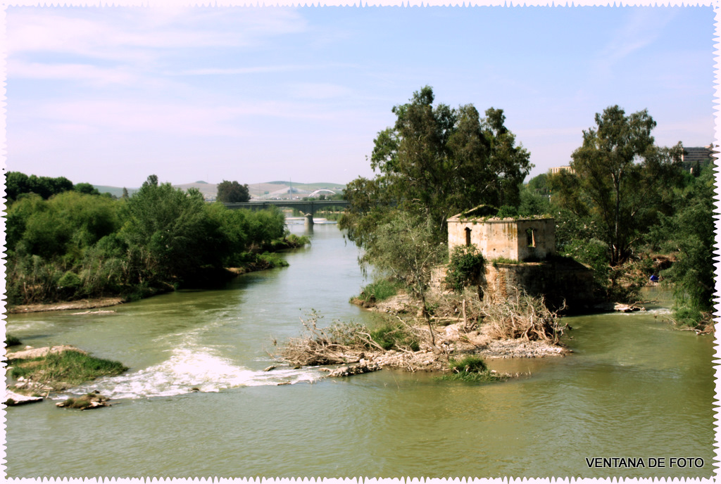 Foto: RÍO GUADALQUIVIR - Córdoba (Andalucía), España