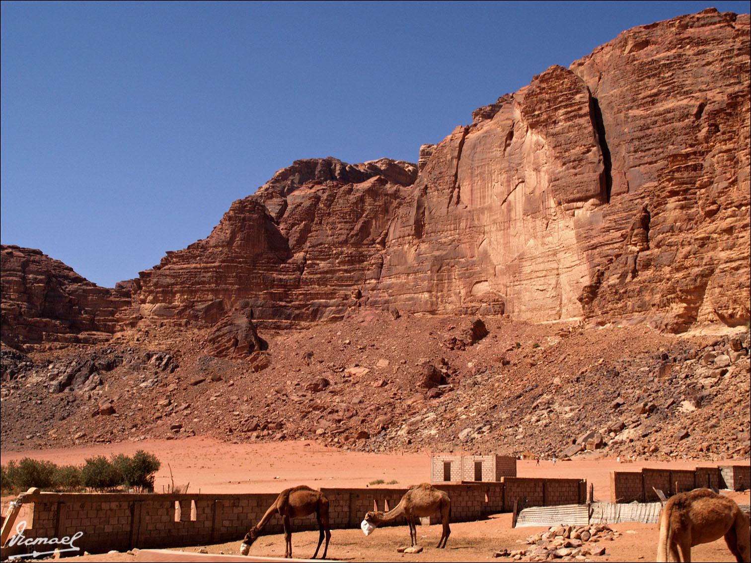 Foto: 090922-108 WADI RUM - Petra, Jordania