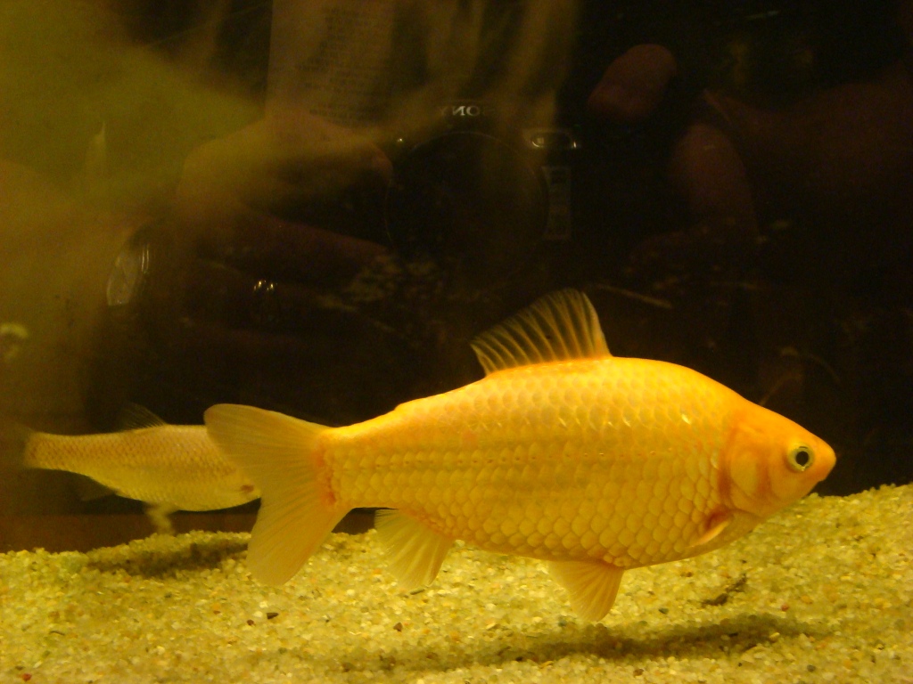 Foto de Cáceres (Extremadura), España