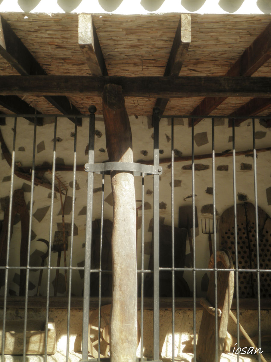 Foto: jardin canario - Las Palmas De Gran Canarias (Las Palmas), España